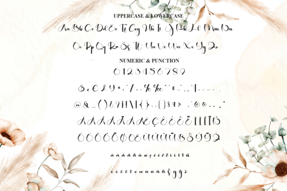Catalina Font - Preview 6