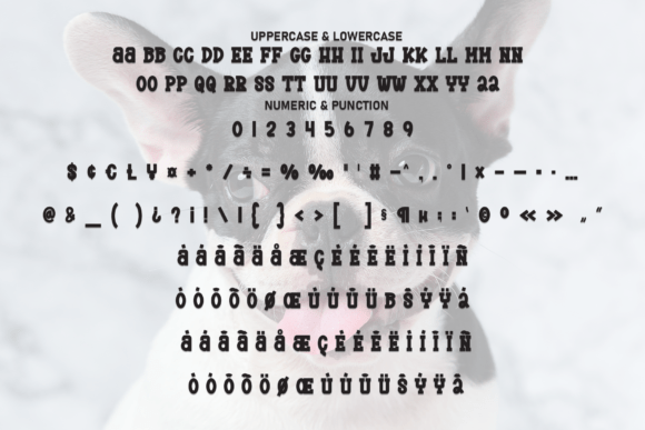 Cutes Bulldog Font - Preview 6