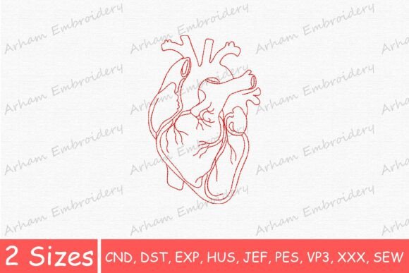 Anatomical Heart Line Art