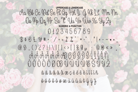 Beautiful Font - Preview 6