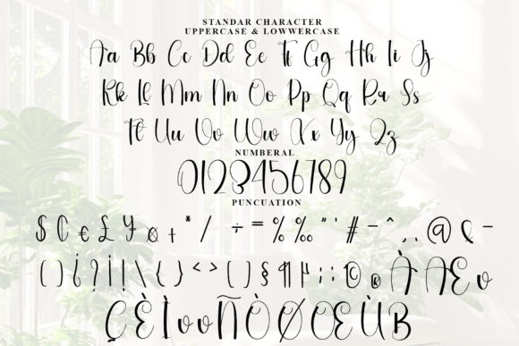 Catalina Handmade Font - Preview 4