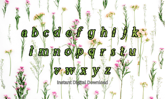 Floral Ornament Font - Preview 2