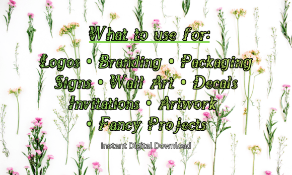 Floral Ornament Font - Preview 4