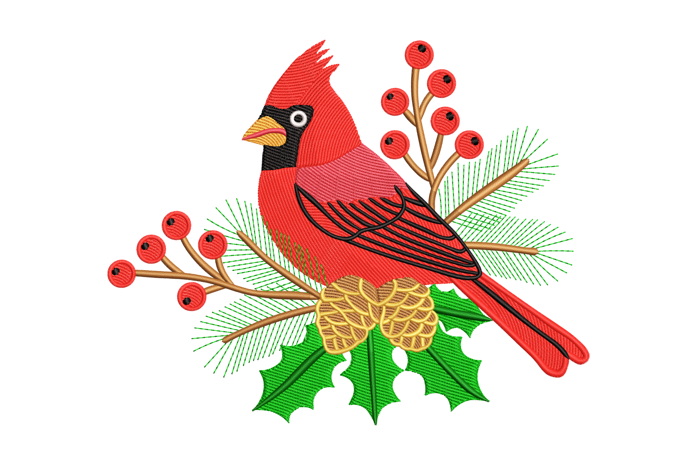 Red Cardinal Bird