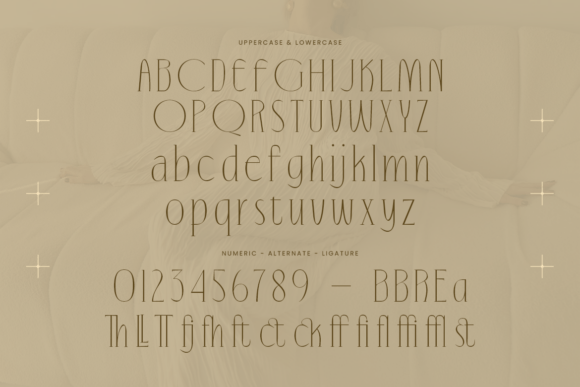 Roachela Font PNG with transparent background - Preview 1