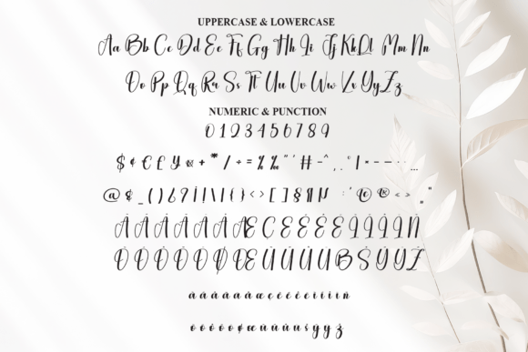 Confident Font - Preview 6