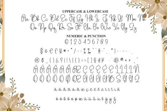 Delighter Font - Preview 6