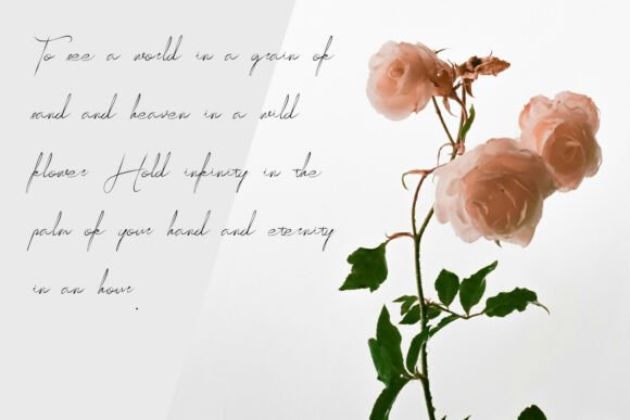 Kazequill Font PNG with transparent background - Preview 2