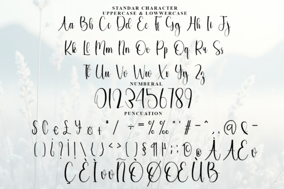 Anastasia Font - Preview 5