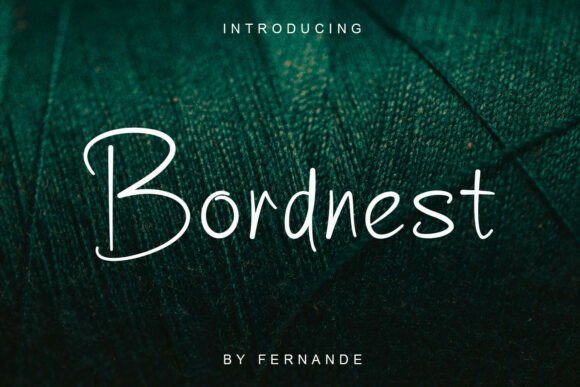 Bordnest Script & Handwritten Font By Fernande Studio