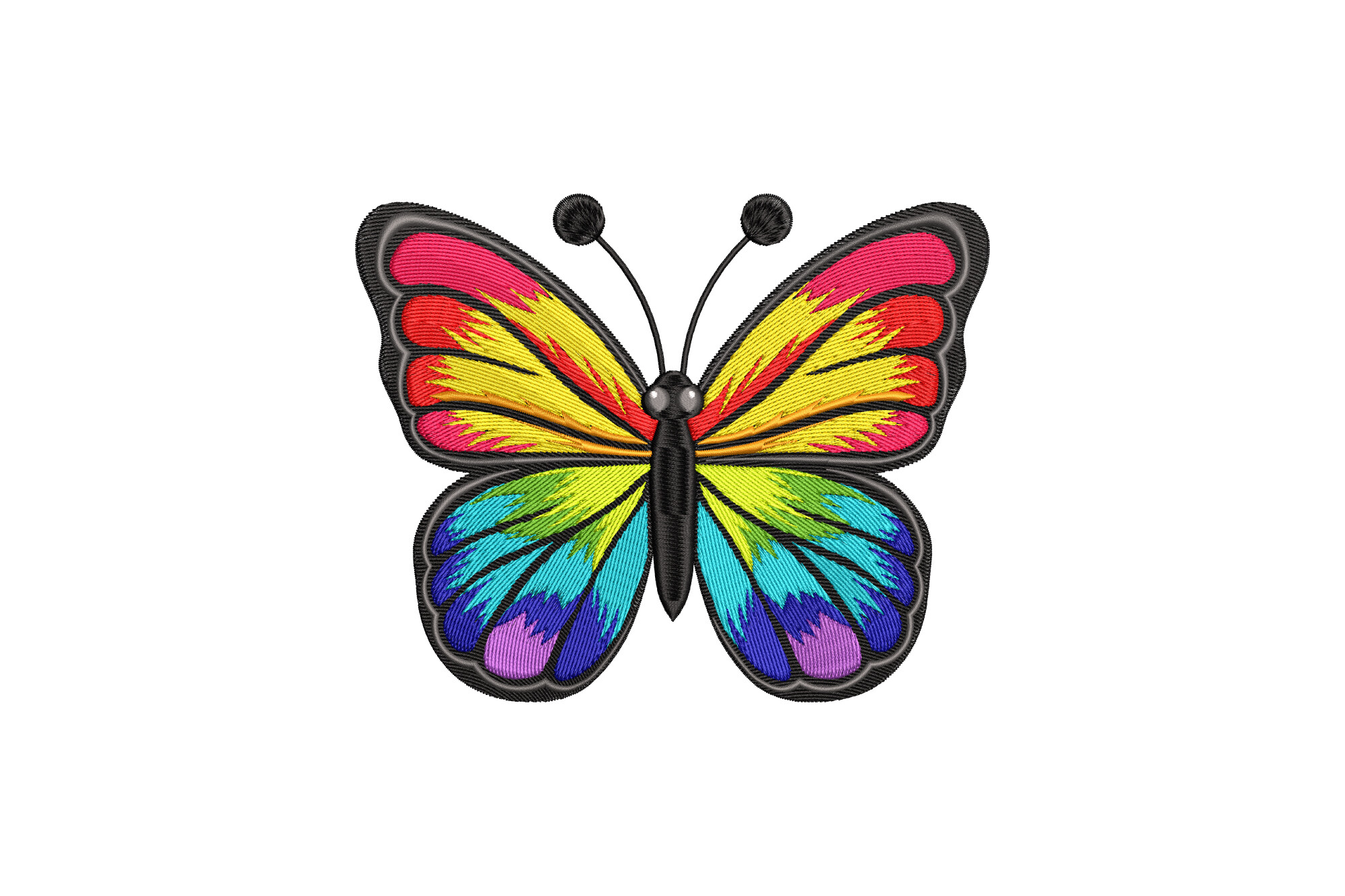 Colorful Butterfly