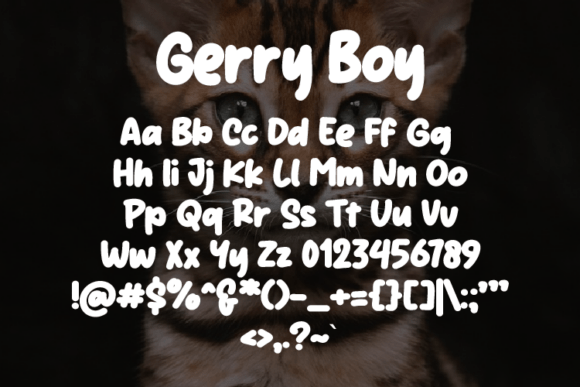 Gerry Boy Font - Preview 1