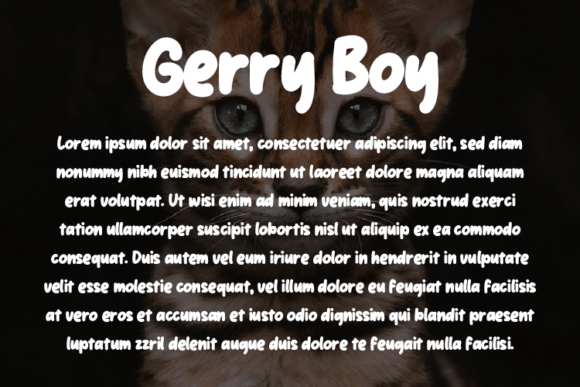 Gerry Boy Font - Preview 2