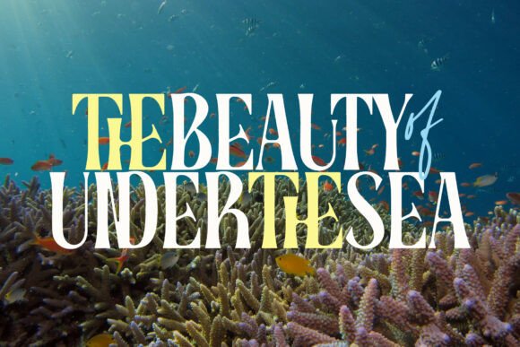 Coral Root Font PNG with transparent background - Preview 1