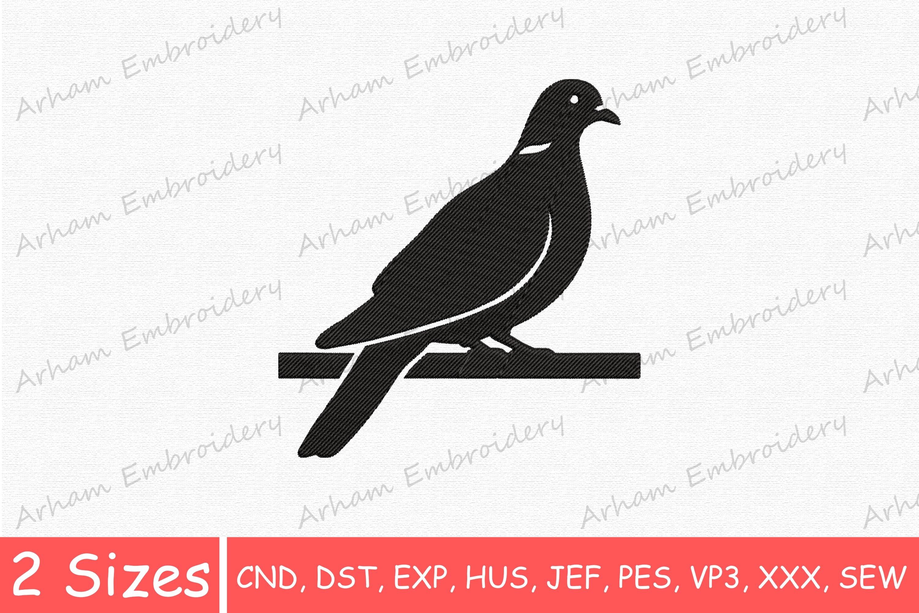 Black Bird on Branch