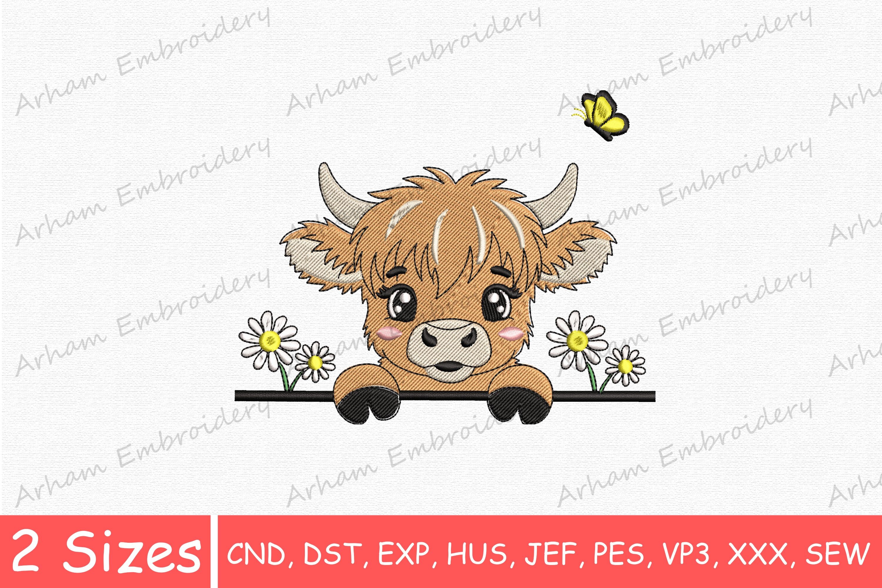 Peeking Highland Cow with Daisies