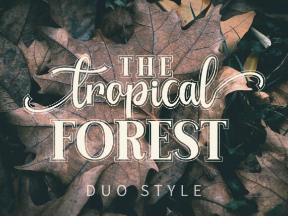 Advance Elegant Font - Preview 3
