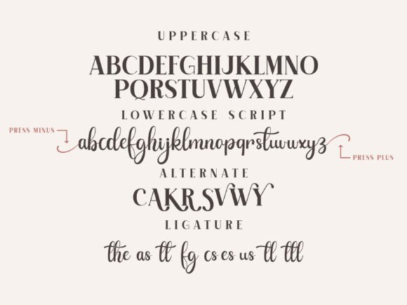 Advance Elegant Font - Preview 5
