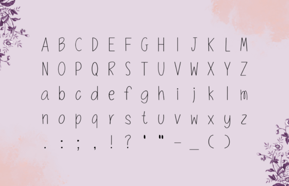 Aster Font - Preview 2