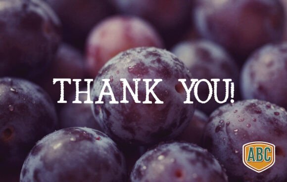 Plum Font PNG with transparent background - Preview 3