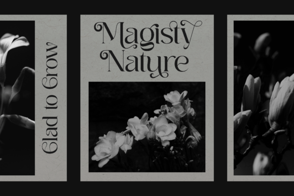 Raleya Font PNG with transparent background - Preview 3