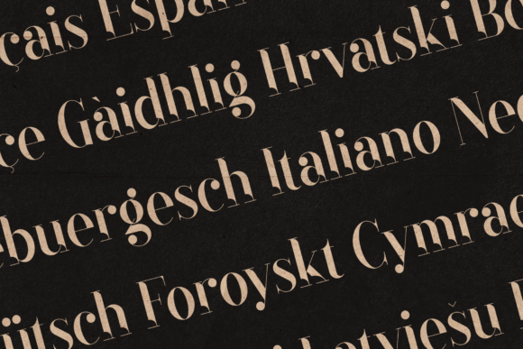 Black Goose Font - Preview 2