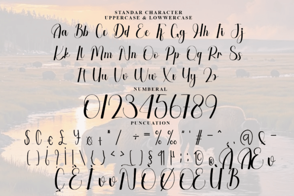 Buffalo Font - Preview 5