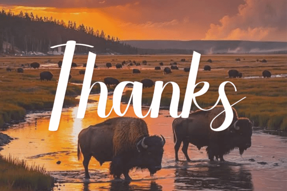 Buffalo Font - Preview 6