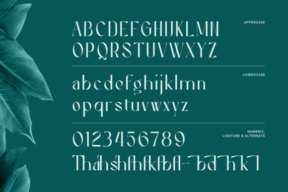 Caelisa Font - Preview 1