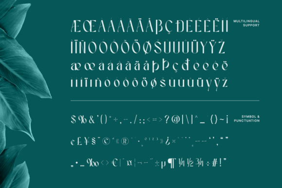 Caelisa Font - Preview 2