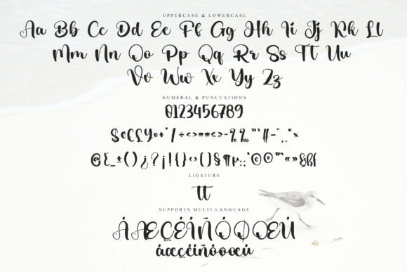 Calligraphy Mandala Font - Preview 5