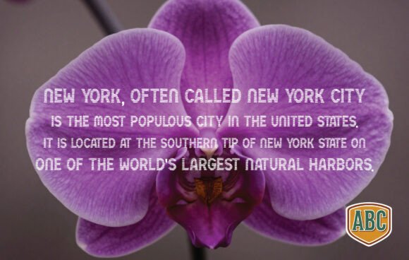 Darkorchid Font PNG with transparent background - Preview 2