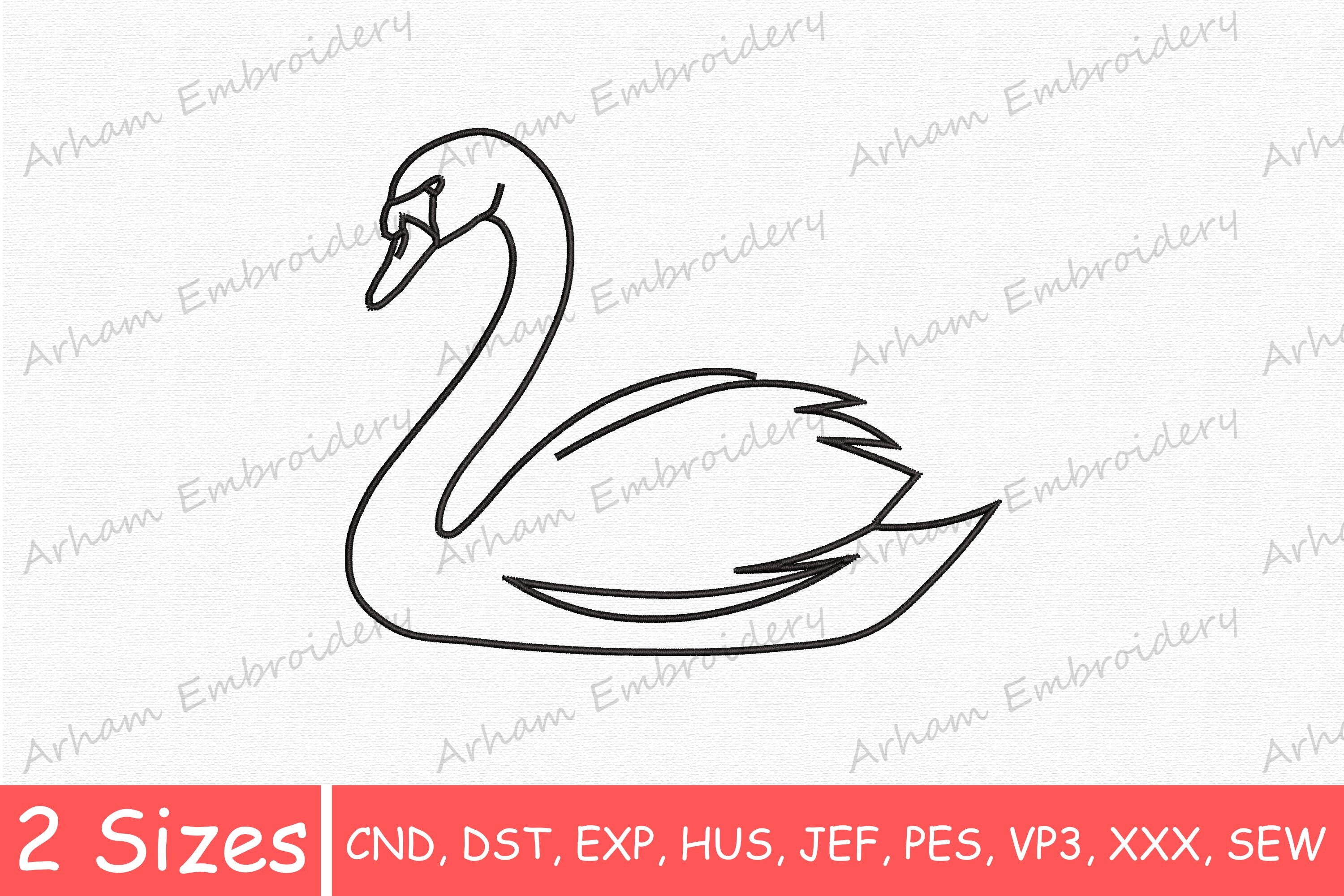 Elegant Swan Bird, Graceful Swan