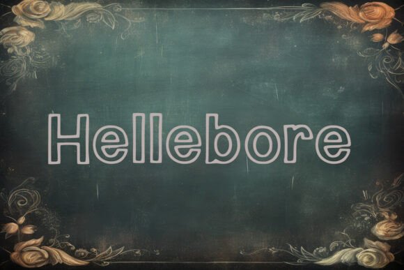 Hellebore Font - Preview 1