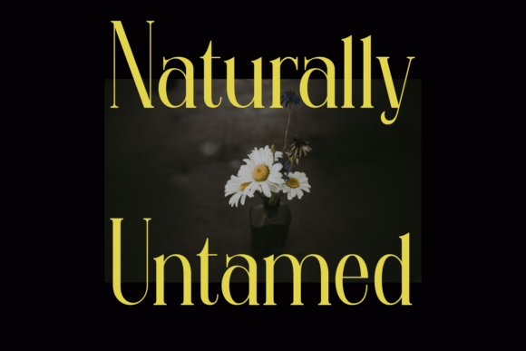 Quiet Lumie Font PNG with transparent background - Preview 2