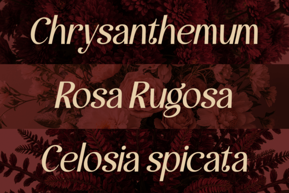 Andores Font - Preview 1