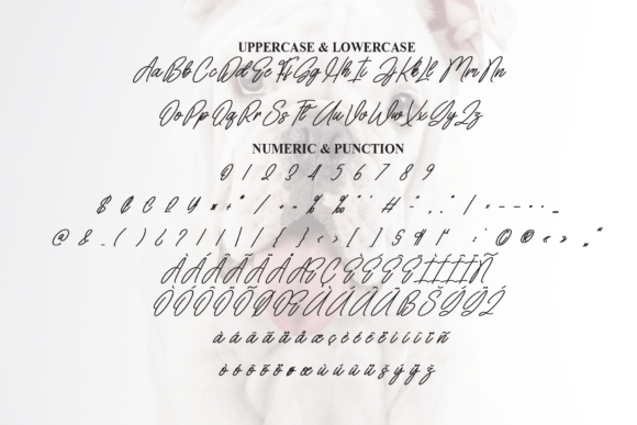 Buldog Font - Preview 6