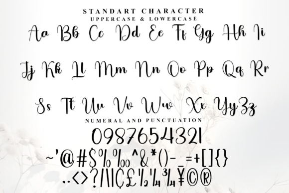 Creative Signature Font - Preview 4