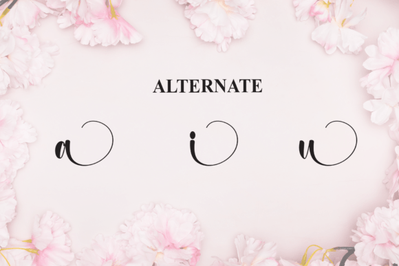 Deandra Font - Preview 6