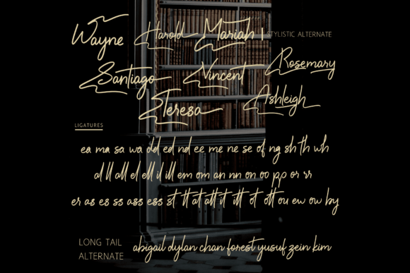 Boundless Wing Font - Preview 5