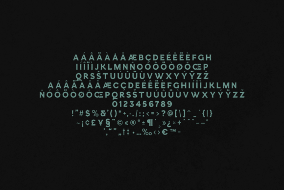 Esquie Neo Grotesque Font - Preview 4