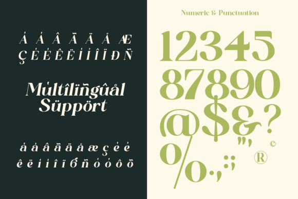 Qoncila Font PNG with transparent background - Preview 5