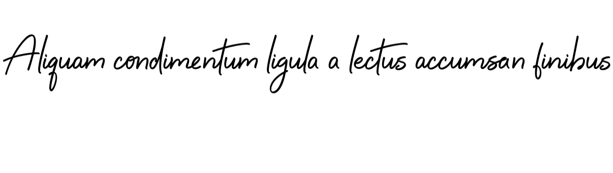 boundless-wing