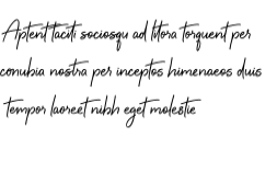 boundless-wing