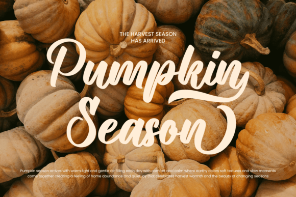 Autumn Harvest Font - Preview 1