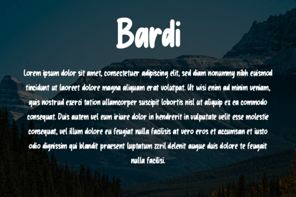 Bardi Font - Preview 2