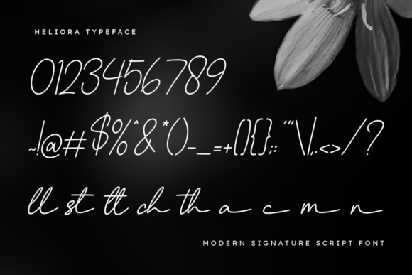 Heliora Font - Preview 2