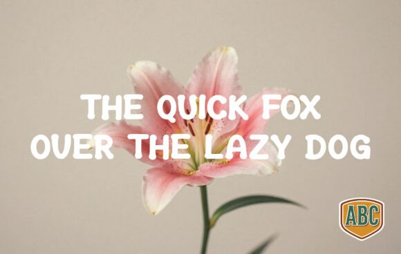 Lily Font PNG with transparent background - Preview 1