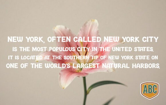 Lily Font PNG with transparent background - Preview 2