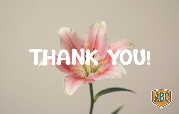 Lily Font PNG with transparent background - Preview 3